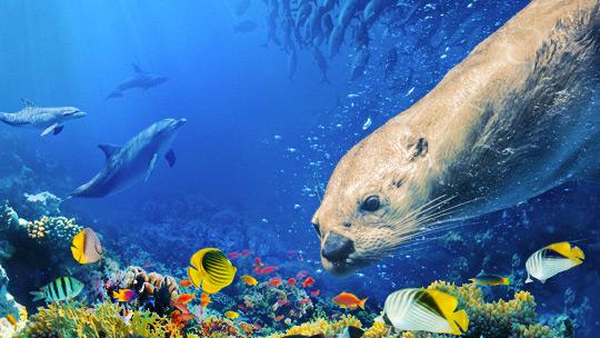 Oceans: Our Blue Planet 4K