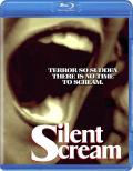 Silent Scream front cover