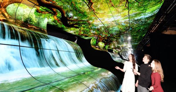 LG OLED Falls