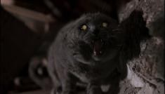 Pet Sematary