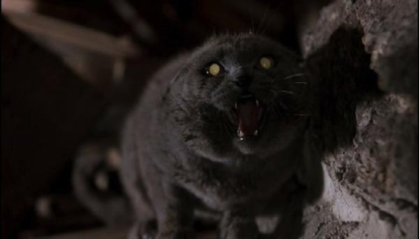 Pet Sematary