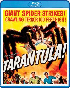 Tarantula! front cover