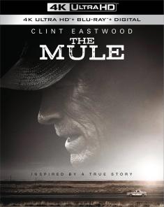 The Mule 4K front cover (cropped)