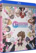Brothers Conflict: The Complete Series + OVA (Essentials)