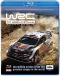 FIAA World Rally 2018 Review