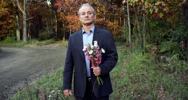 Broken Flowers Kino