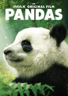 Pandas IMAX box art