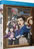 Ace Attorney - Season Two Part One front cover