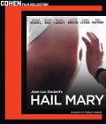 Hail Mary (Cohen) front cover