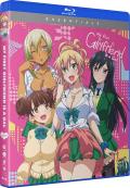 My First Girlfriend Is a Gal: The Complete Series (Essentials) front cover