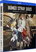 Bungo Stray Dogs: Seasons One and Two front cover