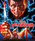 The Vineyard front cover