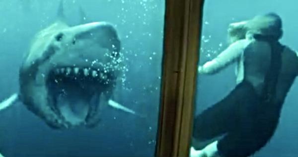 47 Meters Down: Uncaged