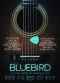 Bluebird front cover