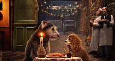 lady and the tramp