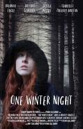 One Winter Night poster