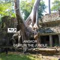 Angkor: Gems in the Jungle front cover
