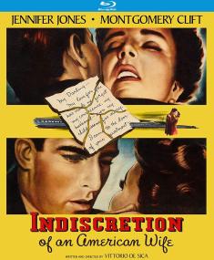 Indiscretion of an American Wife front cover