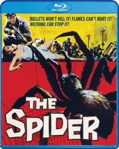 The Spider front cover
