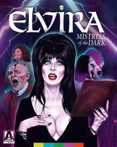 Elvira: Mistress of the Dark (Arrow) front cover