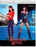 Avenging Angel front cover