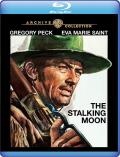 The Stalking Moon front cover