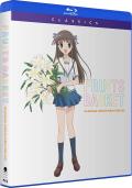 Fruits Basket (2001) - Fruits Basket - The Complete Series (Classics) front cover