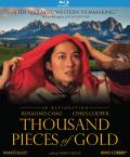 Thousand Pieces of Gold front cover
