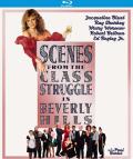 Scenes From the Class Struggle in Beverly Hills front cover