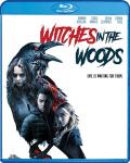 Witches in the Woods front cover
