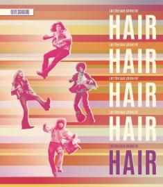 Hair (Olive) front cover