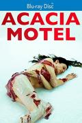 Acacia Motel front cover (distorted)