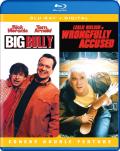 Big Bully / Wrongfully Accused front cover