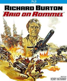 Raid on Rommel front cover