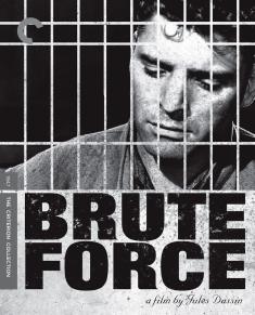 Brute Force front cover