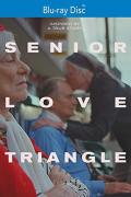 Senior Love Triangle front cover (distorted)