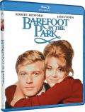 Barefoot in the Park front cover