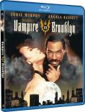 Vampire in Brooklyn front cover
