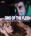 Sins of the Flesh front cover