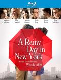 A Rainy Day in New York front cover