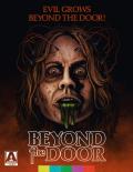 Beyond the Door (standard edition) front cover