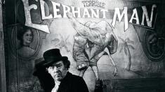 Elephant Man backdrop