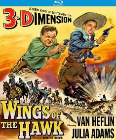 Wings of the Hawk 3D front cover
