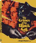 The Crimes of the Black Cat front cover
