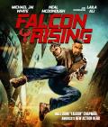 Falcon Rising front cover