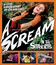 A Scream in the Streets front cover2
