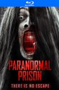 Paranormal Prison (distorted) front cover