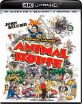 Animal House - 4K Ultra HD Blu-ray temp cover