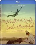 Two Films by Pietro Marcello: The Mouth of the Wolf and Lost and Beautiful front cover