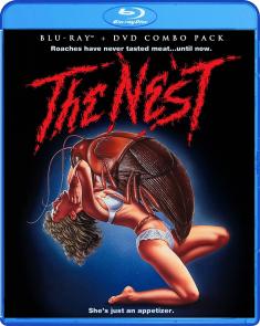 The Nest front cover